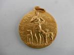 Medaille Diana godin van de jacht, verguld, Ophalen of Verzenden, Overige materialen, Nederland