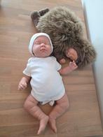 Arias pop & Anne Geddes stekelvarkentje pop., Verzamelen, Poppen, Ophalen of Verzenden, Gebruikt, Babypop