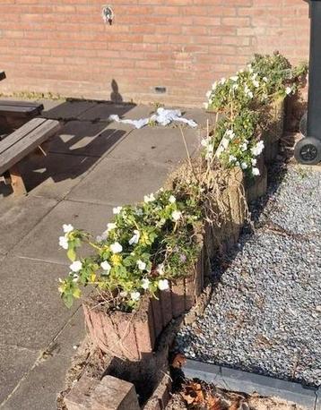 Betonnen Bloembakken gratis ophalen beschikbaar voor biedingen