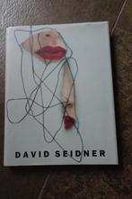 DAVID SEIDNER fotografie 80 blz 71 illustraties € 25, Boeken, Kunst en Cultuur | Beeldend, Nieuw, Ophalen of Verzenden