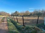 Volledige stal 3400m2 incl bak, paddock en stuk wei, Dieren en Toebehoren, Stalling en Weidegang, Weidegang, 4 paarden of pony's of meer