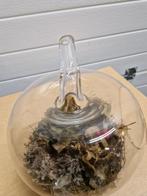 appel vaas herftsdecore glas, Huis en Inrichting, Woonaccessoires | Vazen, Ophalen of Verzenden