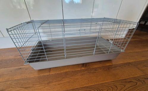 Nette kooi voor konijn of cavia, Dieren en Toebehoren, Knaagdieren en Konijnen | Hokken en Kooien, Zo goed als nieuw, Kooi, Minder dan 60 cm