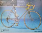 GEZOCHT: Superia racefiets, type Apollo, 80’s, Gebruikt, Ophalen, Overige merken, 10 tot 15 versnellingen