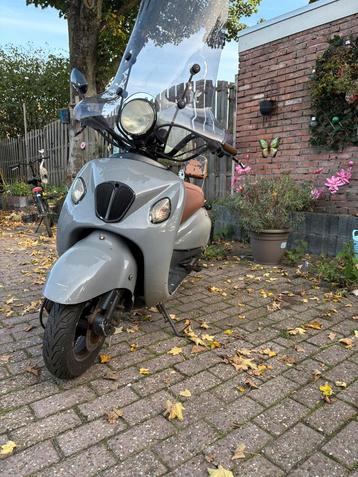 Znen50   loop/sloop beschikbaar voor biedingen