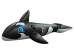 Walvis Opblaasbare, Ophalen, Nieuw