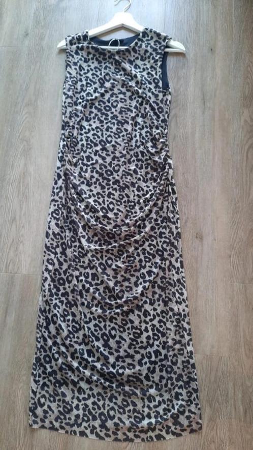 Animal Print Mesh Midi Dress  Size S, Kleding | Dames, Jurken, Nieuw, Maat 36 (S), Bruin, Onder de knie, Ophalen of Verzenden
