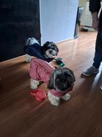 2 honden jasjes, Dieren en Toebehoren, Ophalen of Verzenden, Zo goed als nieuw, Hondenjas