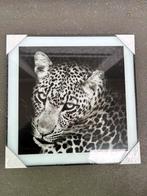 Schilderijen, Ophalen, Nieuw, Hout, Minder dan 50 cm