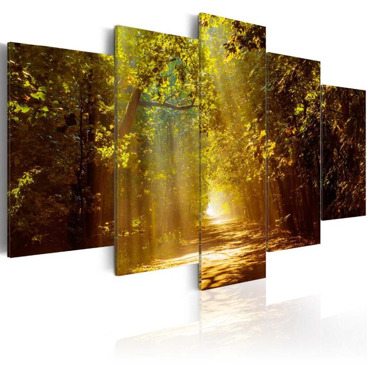 52 Zonlicht Bos Natuur 5 Luik Canvas Schilderij 200x100cm, Antiek en Kunst, Kunst | Schilderijen | Klassiek, Ophalen of Verzenden