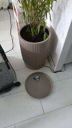 Japandi custom Dione plantenpot!, Ophalen of Verzenden, Zo goed als nieuw