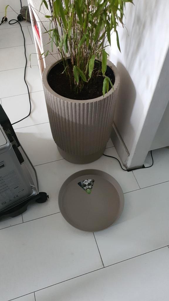 Japandi custom Dione plantenpot!, Huis en Inrichting, Woonaccessoires | Overige, Zo goed als nieuw, Ophalen of Verzenden