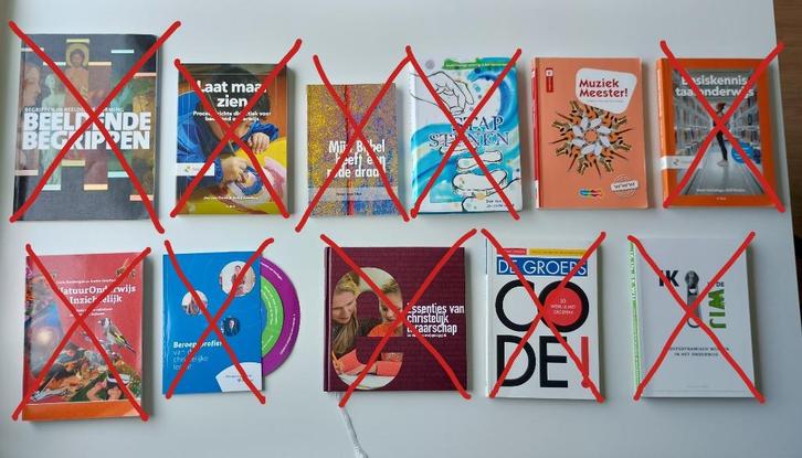 Pabo boeken (pabo 1, 2, 3) - Driestar, Boeken, Studieboeken en Cursussen, Zo goed als nieuw, HBO, Alpha, Ophalen