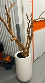 Ghostwood met vaas, Huis en Inrichting, Woonaccessoires | Vazen, Ophalen, Wit, 75 cm of meer, Glas