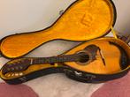 Mandoline met koffer, Ophalen of Verzenden, Gebruikt