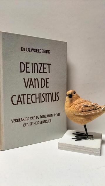 Woelderink, Dr. J.G.; De inzet van de Catechismus beschikbaar voor biedingen