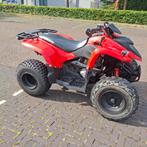 Polaris phoenix 200cc quad automaat op auto kenteken, Motoren