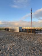 Stalling en weidegang, Dieren en Toebehoren, Stalling en Weidegang, Weidegang, 1 paard of pony