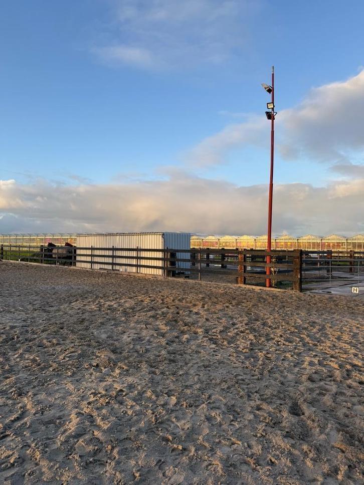Stalling en weidegang, Dieren en Toebehoren, Stalling en Weidegang, Stalling, Weidegang, 1 paard of pony