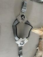 Honden tuigjes, Ophalen of Verzenden, Nieuw