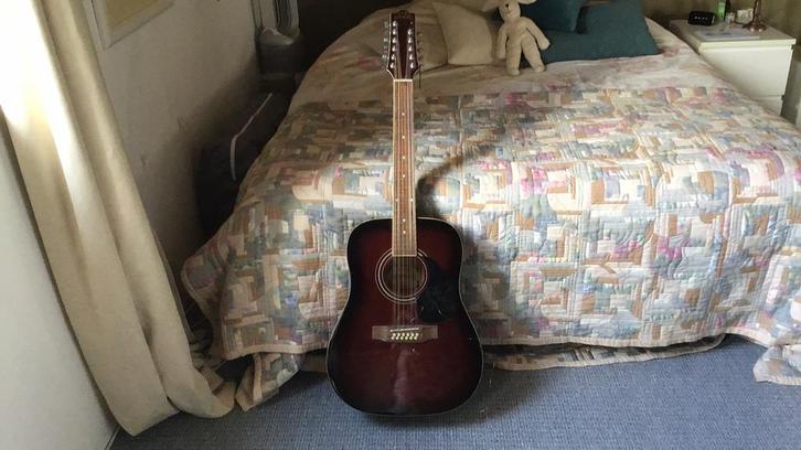 MPM 12 snarige akoestische gitaar, Muziek en Instrumenten, Snaarinstrumenten | Gitaren | Akoestisch, Gebruikt, Western- of Steelstringgitaar