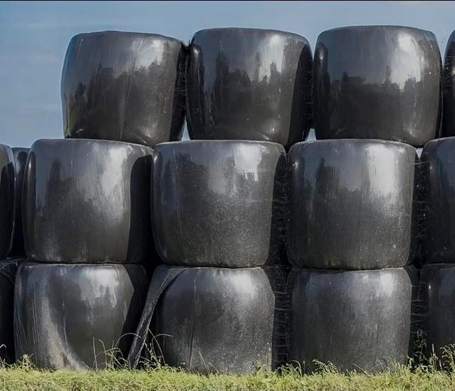 Grote Balen vers gras.  Koeien voer, Dieren en Toebehoren, Dierenvoeding, Vee, Ophalen of Verzenden