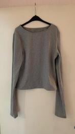 Grijze shirt. Merkloos. Maat L, Maat 42/44 (L), Ophalen of Verzenden, Lange mouw, Grijs