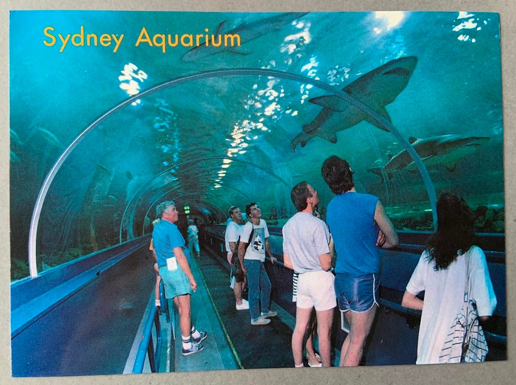 Sydney, Aquarium, Australië, Verzamelen, Ansichtkaarten | Buitenland, Ophalen of Verzenden, Ongelopen, Buiten Europa