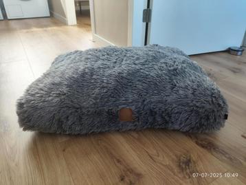 Honden/katten kussen beschikbaar voor biedingen