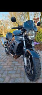 Honda X11 betrouwbare tourbuffel, Motoren, Particulier