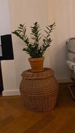 Rieten mand, Ophalen, Zo goed als nieuw, Rechthoekig, Riet