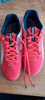 Mooie nieuwe Puma Evospeed sneakers/ schoenen maat 41/ 40, Ophalen of Verzenden, Nieuw, Roze, Sneakers of Gympen