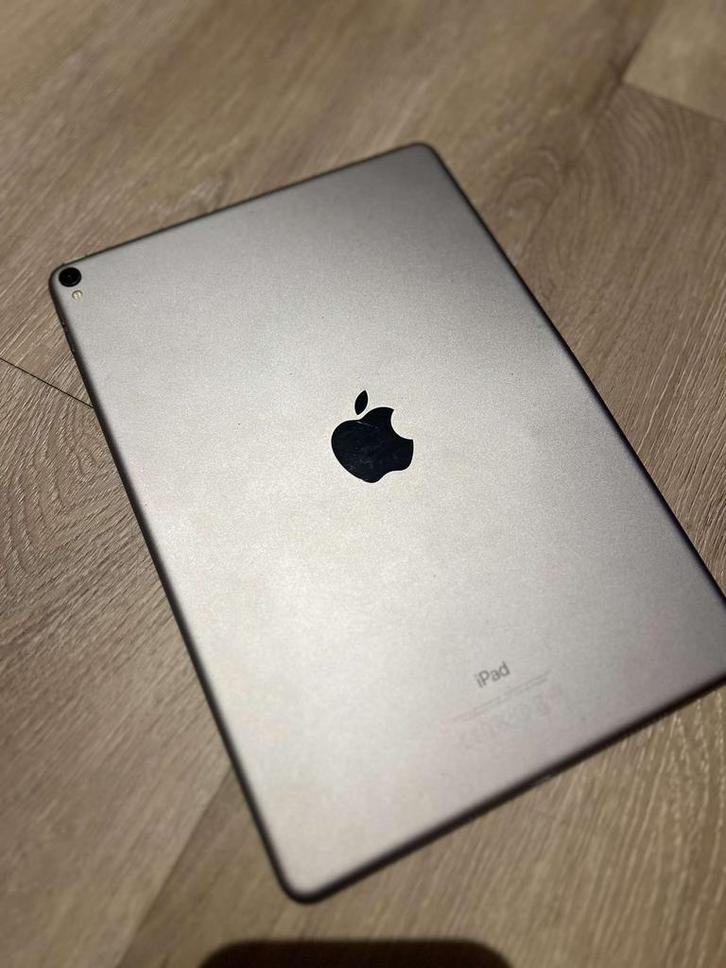 iPad Pro 10,5 inch–256GB-Space Gray–(met 2 zwarte vlekken), Computers en Software, Apple iPads, Gebruikt, Apple iPad, 10 inch