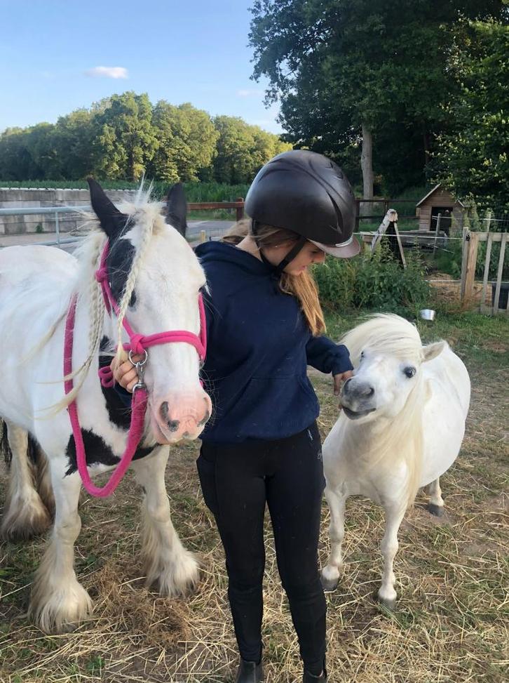Verzorger / bijrijder aangeboden!, Dieren en Toebehoren, Paarden en Pony's | Overige Paardenspullen, Nieuw, Recreatie, Ophalen of Verzenden