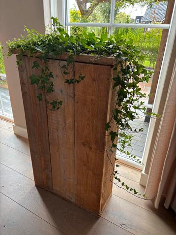 Steigerhouten Plantenbakken - Set van 3 beschikbaar voor biedingen