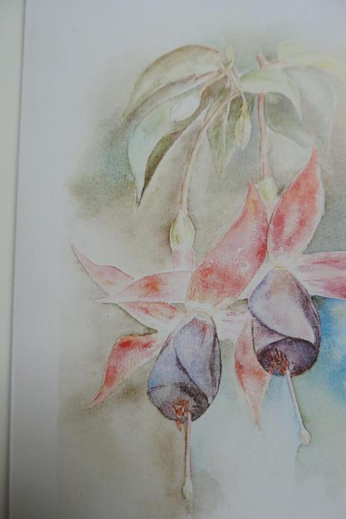 Mooi, nieuw borduurpatroon van een bloem, Hobby en Vrije tijd, Borduren en Borduurmachines, Nieuw, Patroon, Handborduren, Verzenden