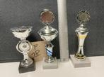 Trofeeën/wedstrijdbekers/sportprijzen/bokalen (set 18), Sport en Fitness, Ophalen of Verzenden, Gebruikt