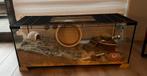 Hamsterkooi, Dieren en Toebehoren, Kooi, Hamster, 75 tot 110 cm, Ophalen