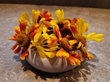 Drijfschaal voor bloemen, geschikt voor binnen of buiten beschikbaar voor biedingen