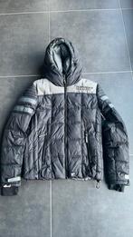 Superdry ski-jas / winterjas, Ophalen of Verzenden, Zo goed als nieuw, Jack