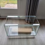 Hamster hok/terrarium compleet met allespullen(zie foto's), Dieren en Toebehoren, Zo goed als nieuw, Ophalen, Minder dan 60 cm