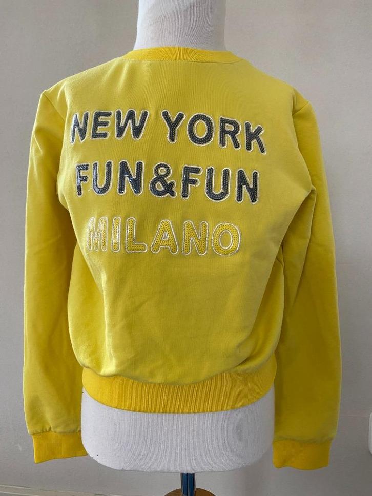 FUN & FUN kortere sweater NIEUW maat 134 / 140 D23, Kinderen en Baby's, Kinderkleding | Maat 134, Nieuw, Meisje, Trui of Vest