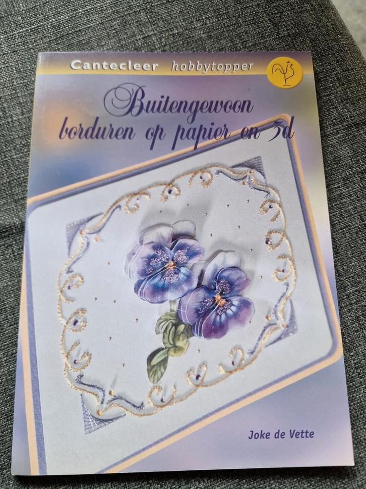 J. de Vette - Buitengewoon borduren op papier en 3d, Boeken, Hobby en Vrije tijd, Zo goed als nieuw, Ophalen of Verzenden