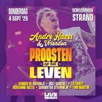 4 kaarten Hazes &  Vrienden., Tickets en Kaartjes, Evenementen en Festivals, Drie personen of meer