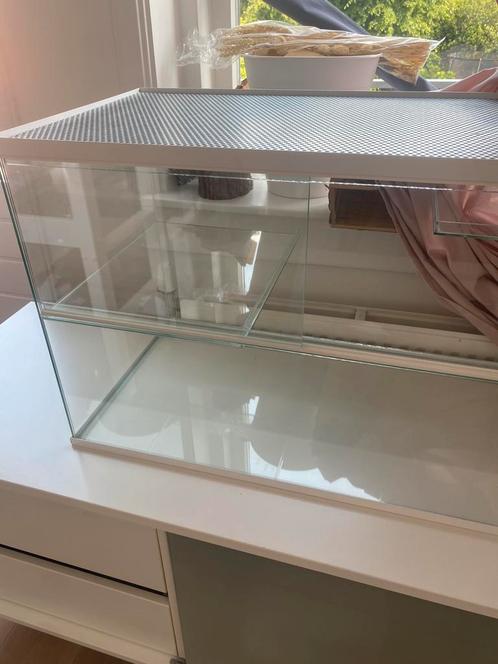 Glazen kooi voor knaagdieren met plateaus, Dieren en Toebehoren, Knaagdieren en Konijnen | Hokken en Kooien, Nieuw, Kooi, Minder dan 60 cm