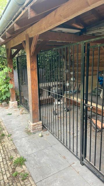 Kennelpanelen, honden kennel beschikbaar voor biedingen
