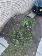 Zwart zand, gratis af te halen, Tuin en Terras, Zand, Ophalen, Zo goed als nieuw, Overige typen