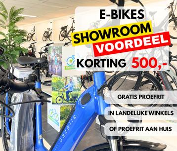 Elektrische fiets bakfiets driewieler vouwfiets fatbike bike beschikbaar voor biedingen