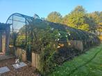 Grote Volière Koepel - 25x8x3m, Tuin en Terras, Gebruikt, Overige materialen, Kweekkas, Ophalen