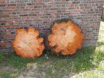 Nette onbewerkte boomschijven 80x80x 9, Dieren en Toebehoren, Pluimvee, Meerdere dieren, Kip